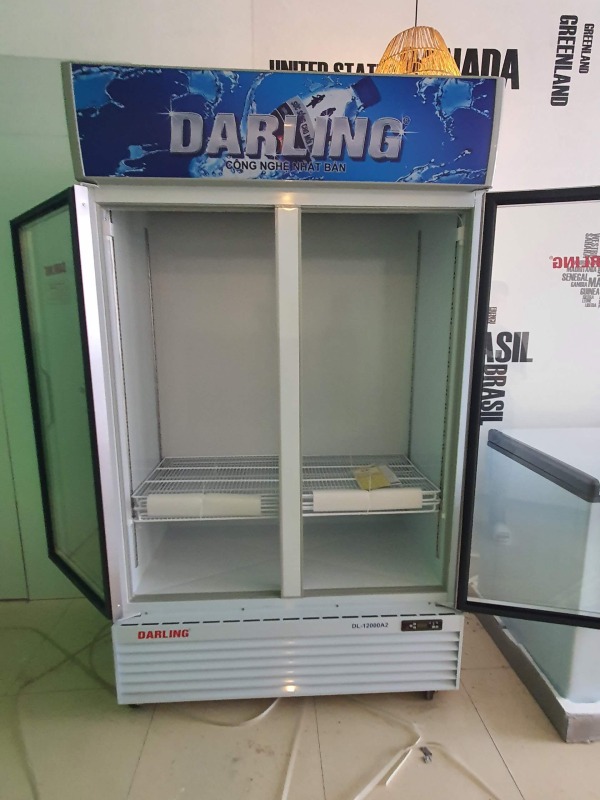 Tủ mát Darling DL-12000A2 1100L