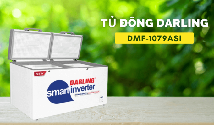 Tủ đông inverter darling DMF-1079ASI