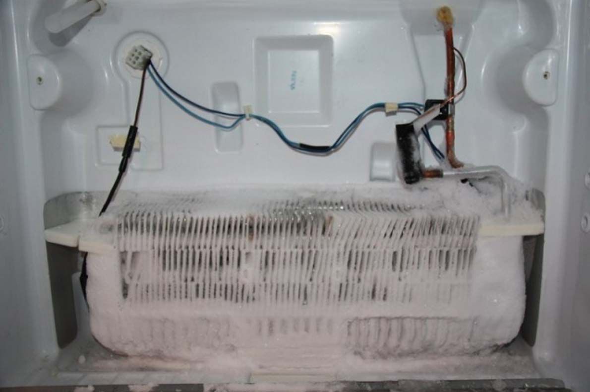 Cánh quạt tủ lạnh kêu to do timer xả tuyết bị hư