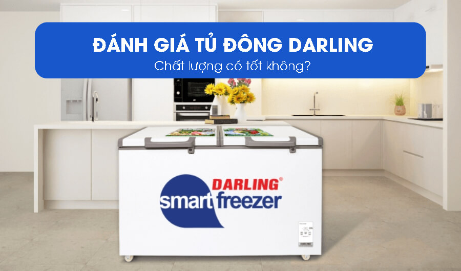 Đánh giá tủ đông Darling - Giới chuyên gia và khách hàng nói gì?