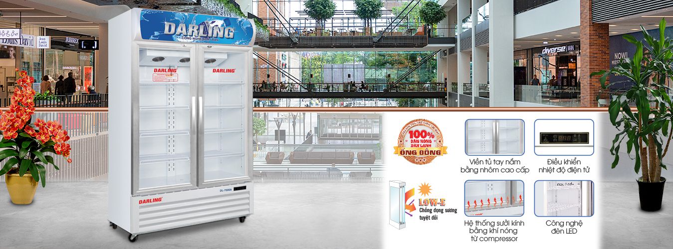 giới thiệu về tủ mát 2 cánh darling